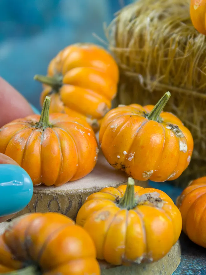 TUTORIAL miniature dirty pumpkins polymer clay