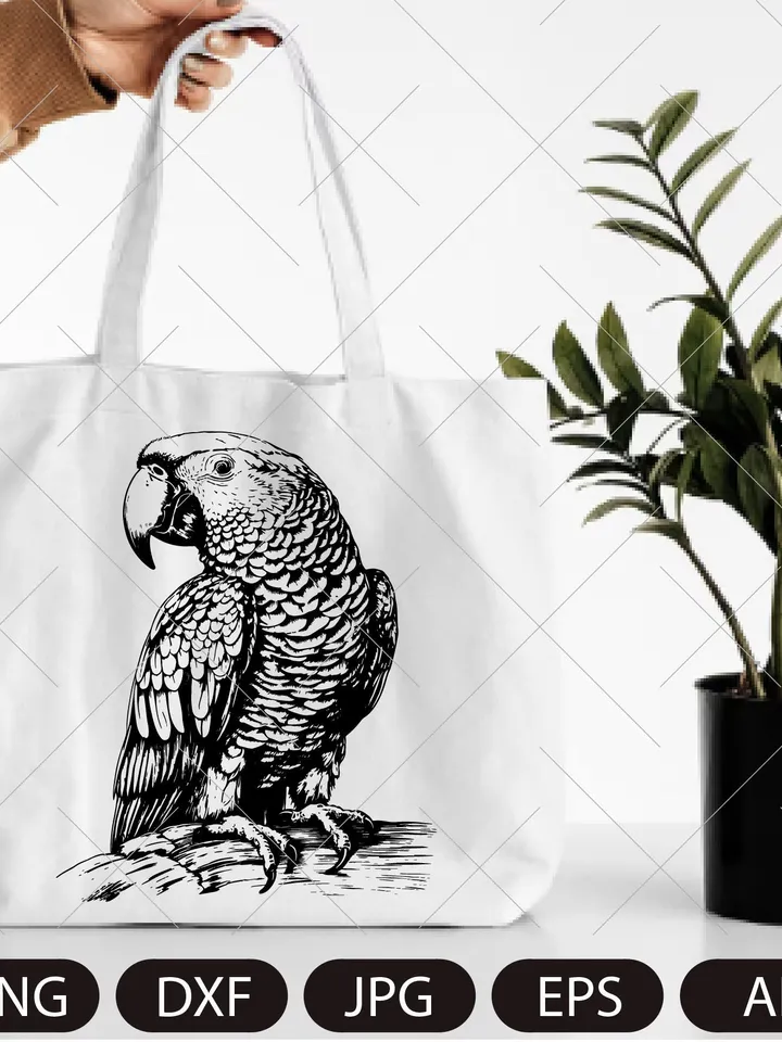 Parrot Svg, Exotic bird svg, Macaw svg, Silhouette dxf, cricut svg, bird Clipart, laser cut file, vector bird on a branch