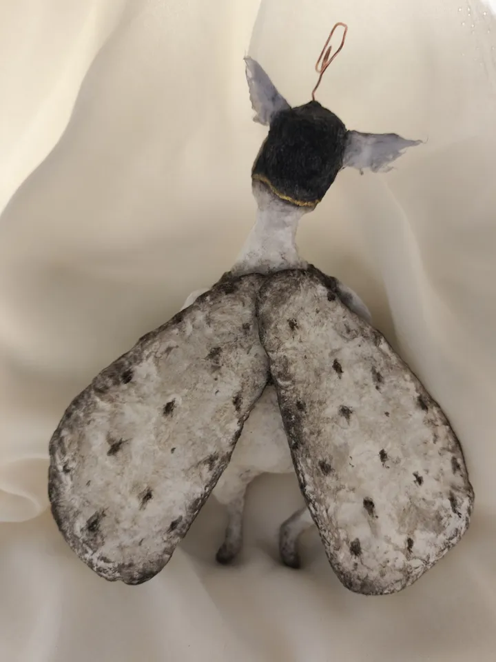 Interior doll.Moth