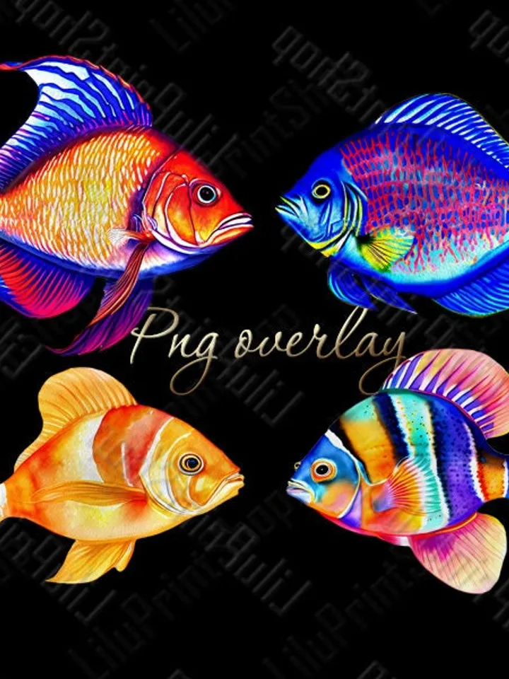 Fish png clipart, Watercolor clipart png, Sea clip art Tropical fish overlay Nautical colorful Instant download