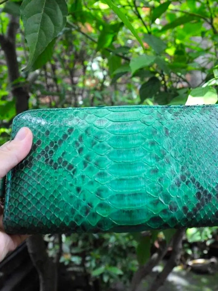 Python skin Wallet Green | Genuine Python light green Colour Wallet unisex | classy Elegant Python Genuine Leather Wallet Handmade snake