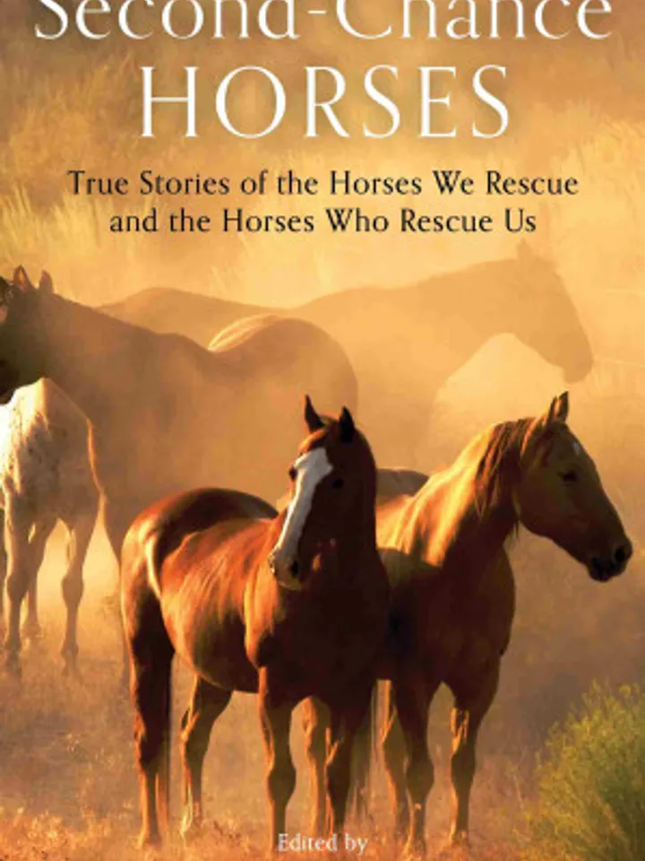Second-Chance Horses True Stories of the Horses We Rescue and the Horses Who Rescue Us by Callie Smith Grant