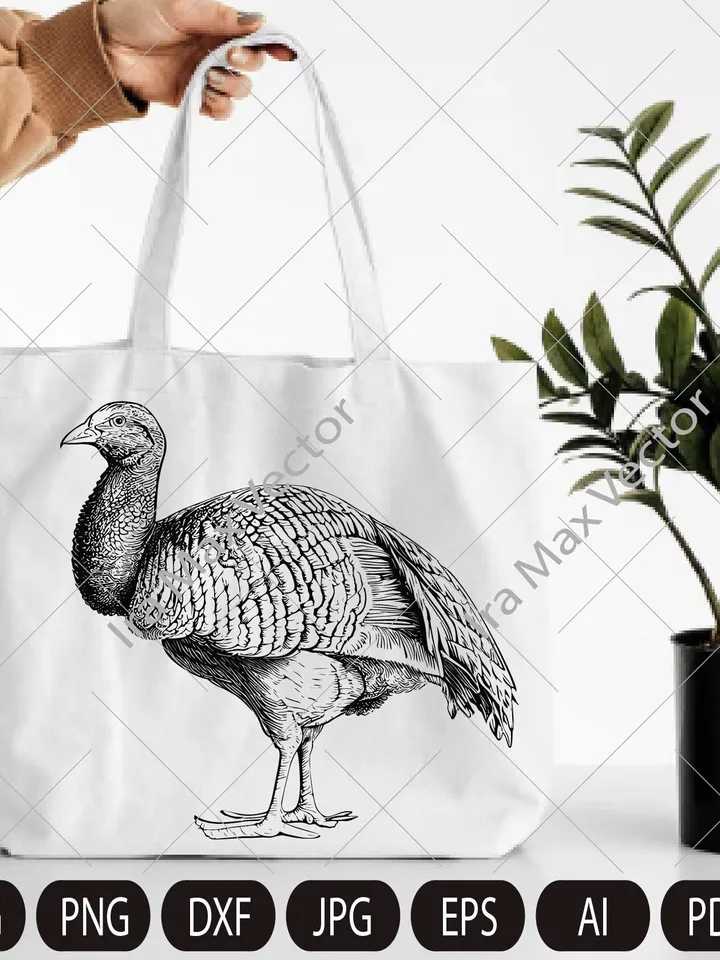 Turkey Svg, Turkey clipart, Turkey detailed, Turkey bird,  Funny Turkey Svg ,Turkey Vector Svg, Farm birds,Poultry