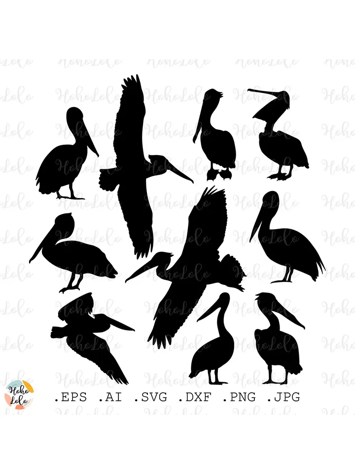 Pelican Svg, Pelican Silhouette, Pelican Cricut, Pelican Stencil, Pelican Template Dxf, Pelican Clipart Png