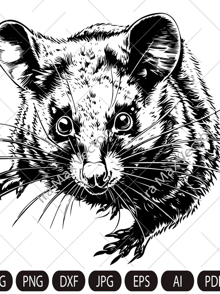 Possum svg ,Opossum ,mouse svg, Retro Design for Shirts ,Vintage Digital File ,Mental Health ,Trendy Shirt PNG, Funny Meme