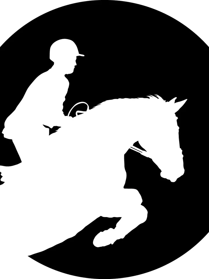 Horse logo. Silhouette horse. Horseman on horse. Silhouette vector image. Plotter cutting