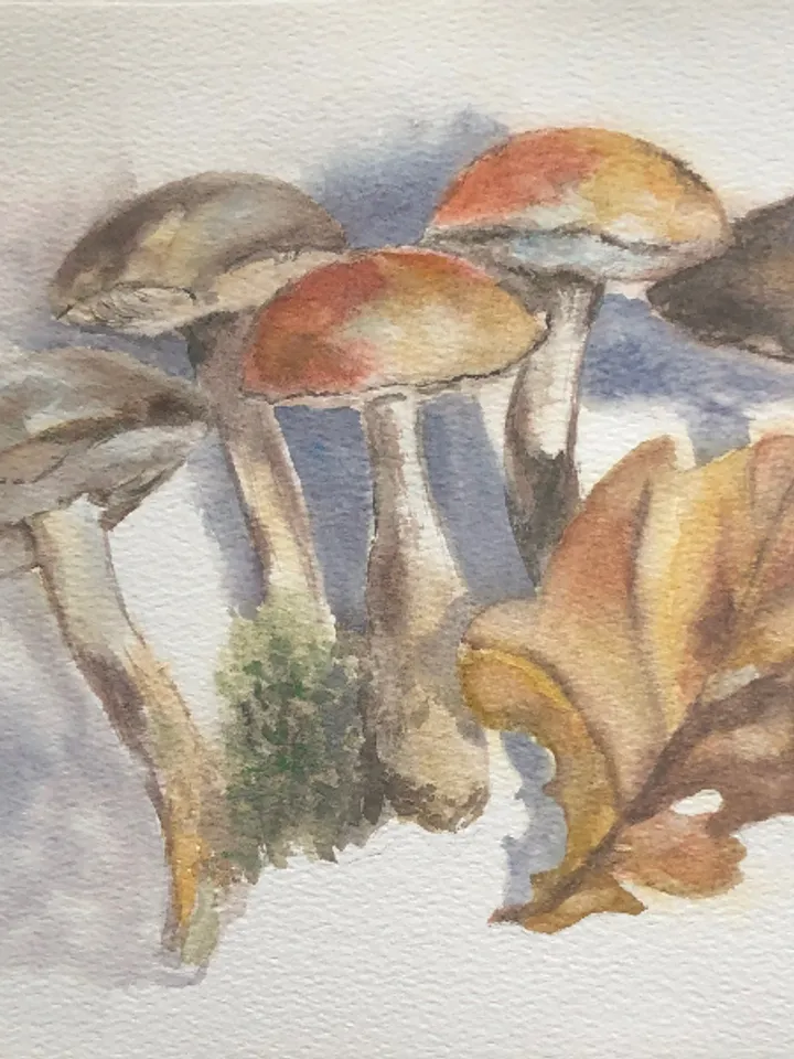 Mushrooms original watercolour painting hand painted modern painting wall art original artwork 8x11 inch
