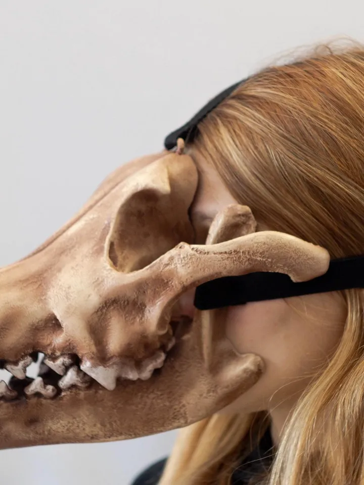 Wolf Skull Mask | animal skull mask |  | realistic wolf mask | resin skull mask | cosplay face mask | halloween scary mask | creepy mask