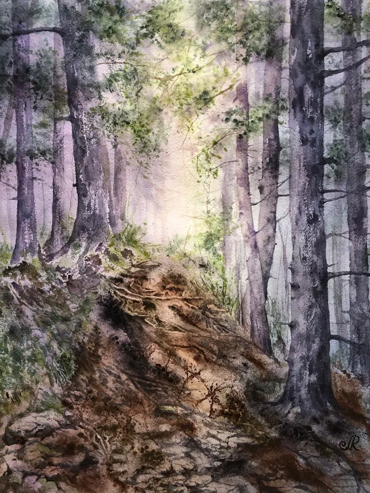 Forest Original Watercolor Painting Sunset Landscape Artwork