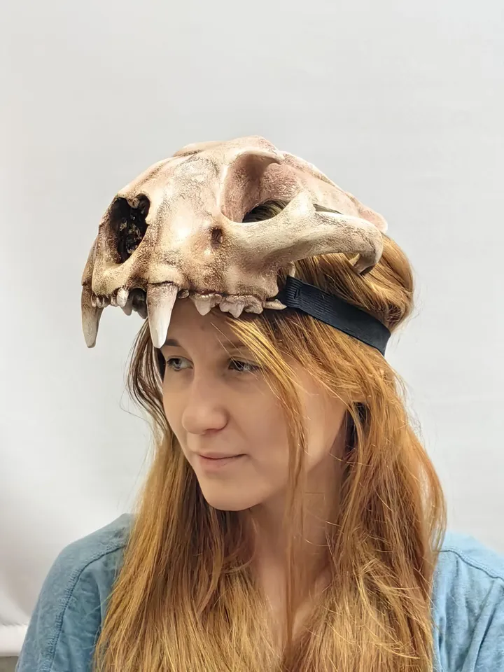 Lynx Skull Crown | Cat Skull Helmet | Realistic Animal Skull on head | tribal headpiece | Headpiece skull | ritual mask | pagan