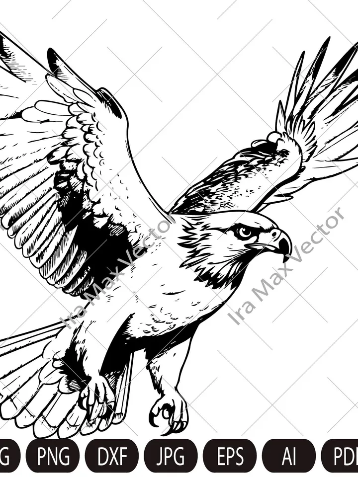 Falcon Svg, Falcon Clipart, Falcon Png, Falcon Head, Falcon Cut Files For Cricut , Falcon Silhouette, Bird Silhouette