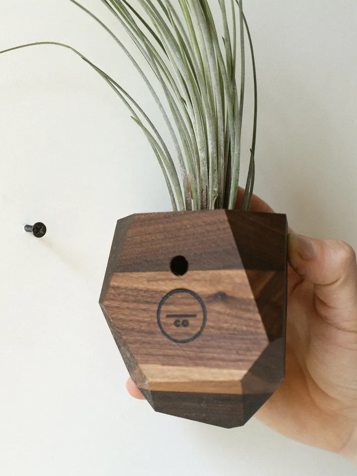 Set of 4 Walnut Geometric Air Plant Holder