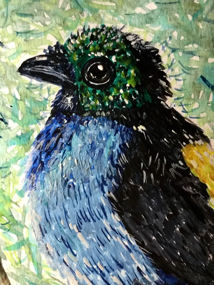 Paradise tanagra bird original watercolour painting.Bright exotic bird.