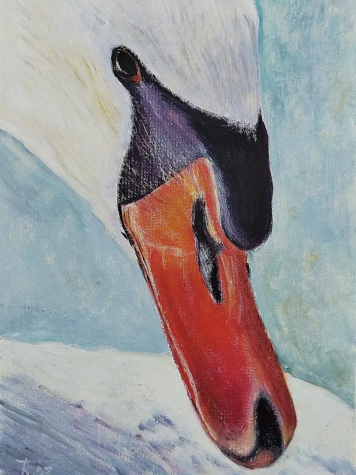 Oil painting, portrait of a Swan, painting with a bird 50x35 cm