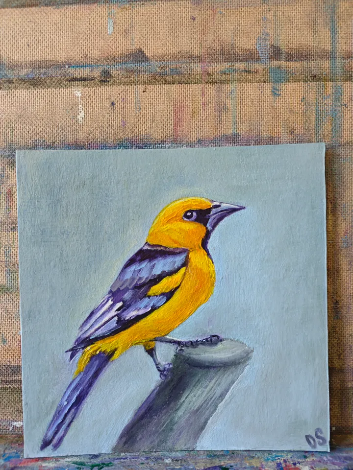 Oriole Bird Original Painting Bird Original Art Animal Modern Artwork Yellow Bird Wall Art Bright Yellow Bird Painting 8x8 inches by OlgaSokolovaArt