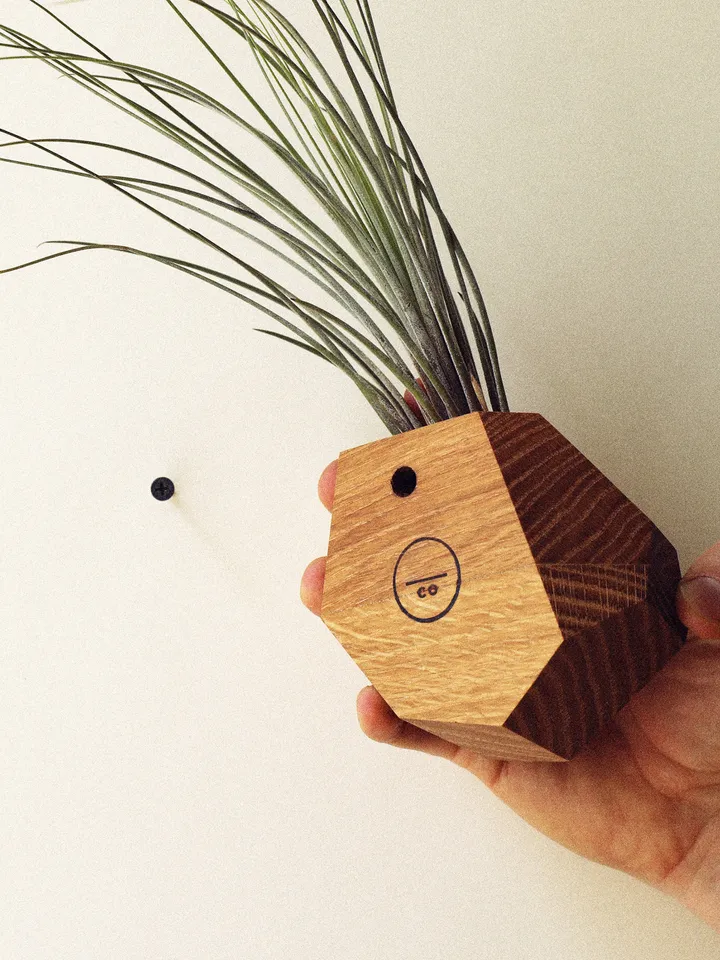 Set of 4 White Oak Geometric Air Plant Holder