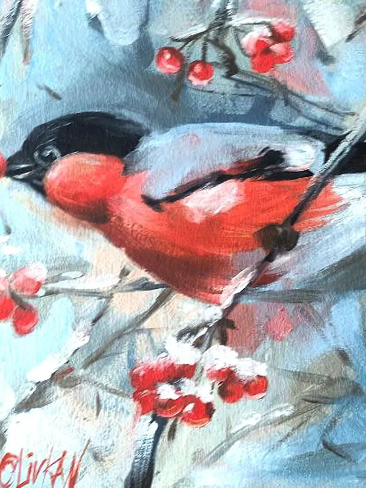 Bullfinch Painting 牛蛙 Original Art Bird Artwork Original Oil Painting