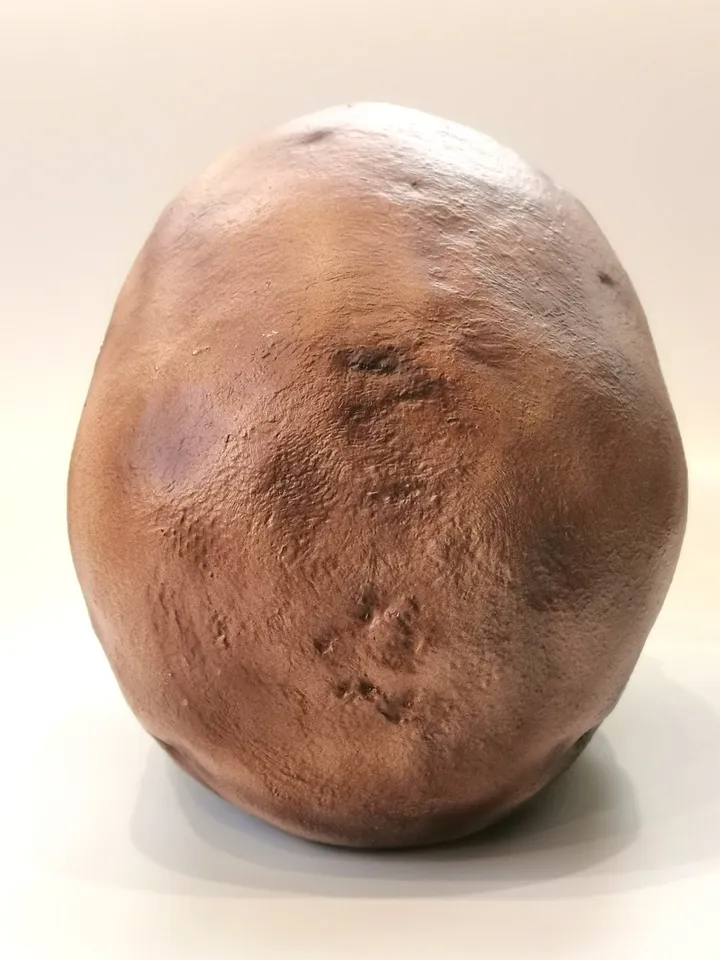 Homo Sapiens Cro-Magnon Skull Replica, Prehistoric Fossil Collection, Realistic Hominid Skull, Museum Quality
