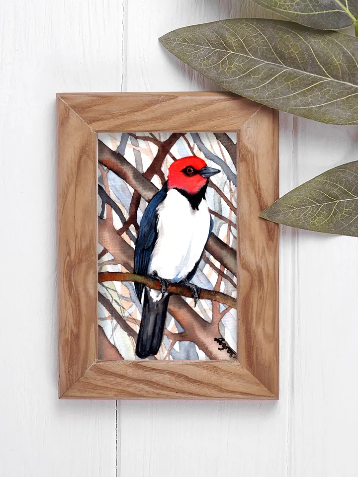Woodpecker original watercolor, birds painting, handmade wall decor, 5x7 in art for bird lovers by Anne Gorywine