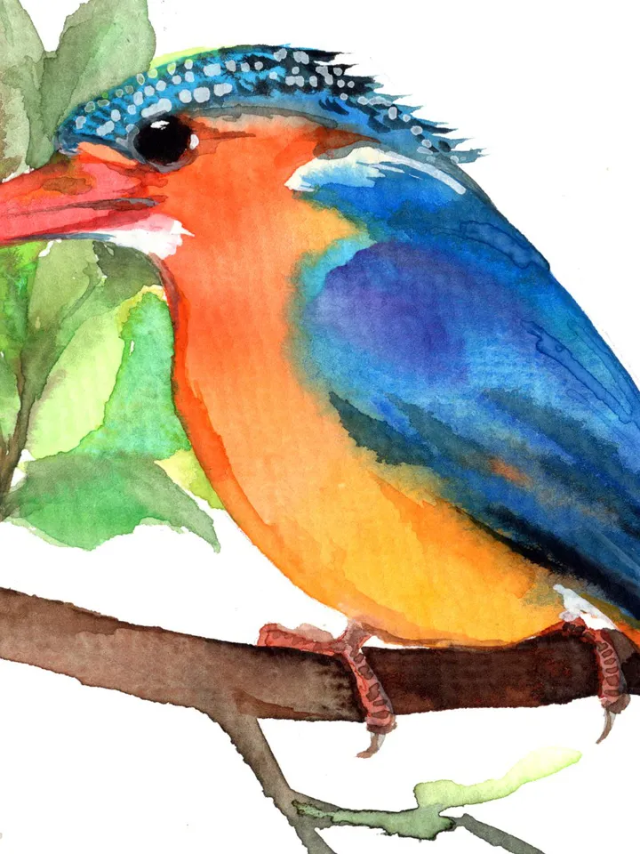 Kingfisher original watercolor, birds painting, handmade wall decor, 5x7 in art for bird lovers by Anne Gorywine