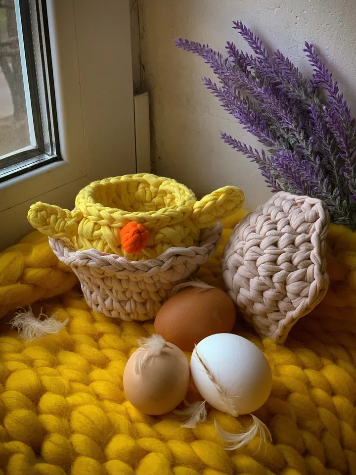 basket chicken egg Easter, crochet interior gift, bedroom livingroom storage, eco friendly basket
