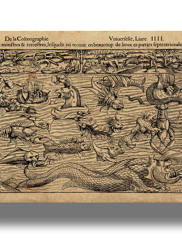 Sea animals and monsters on an ancient map.