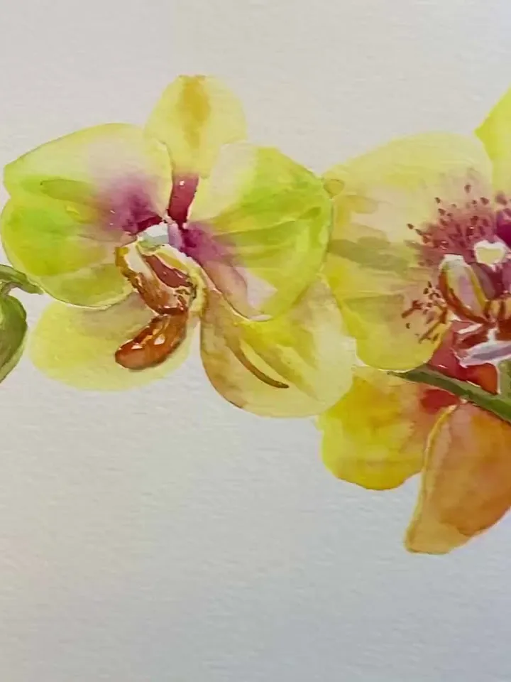 Watercolor Orchid Art Flower Line Art  Wild Flowers Botanical Printable Wall Art Flower Print Minimal Botanical Poster Giclee Botanical Art