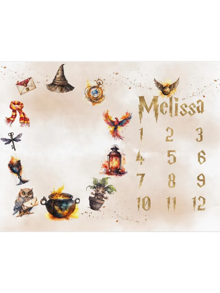 Wizarding World Milestone Baby Blanket; Magic School Baby Blanket Owl Key Magic World Custom Wizard Blanket Gift for Baby Blanket WBB12