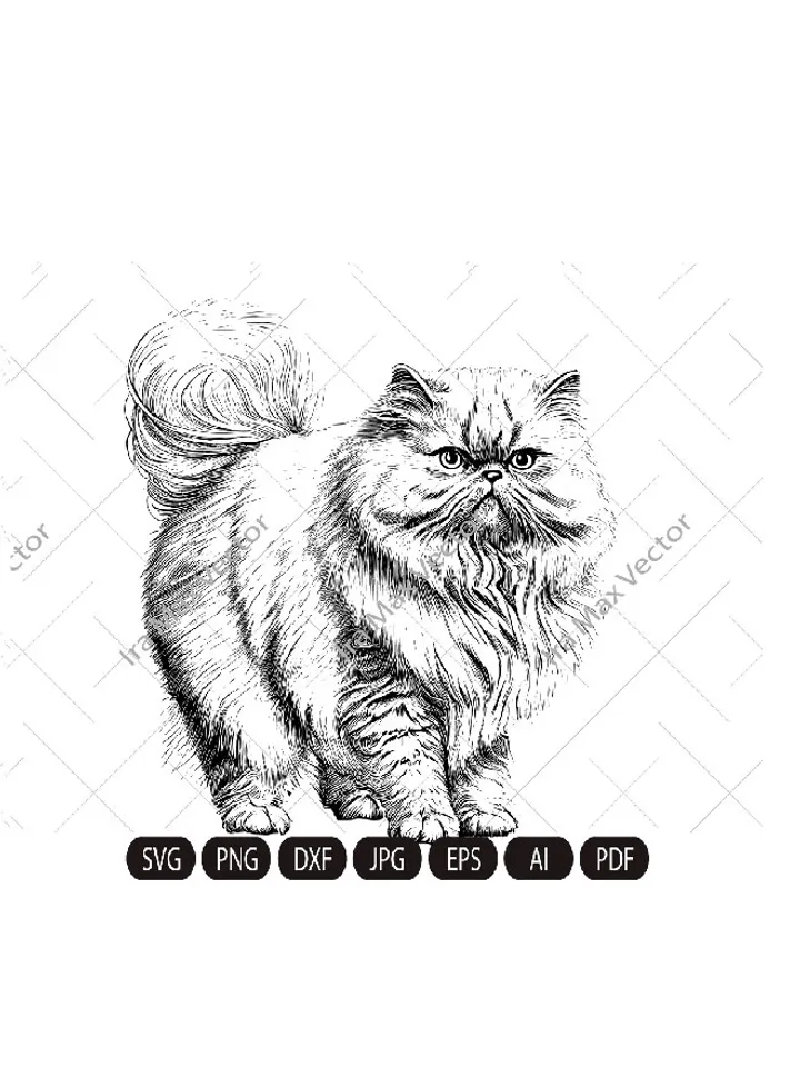 Cat Svg , Cat persian svg, Persian fluffy cat, cute kitten face svg, cute cat face svg, cat faces svg, face svg, cat svg bundle, cat image