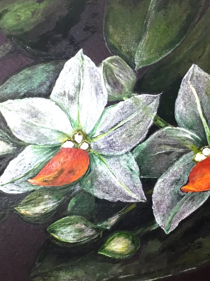 Orchids painting,White orchid flowers on black background, home decoration,original watercolour painting,framed.