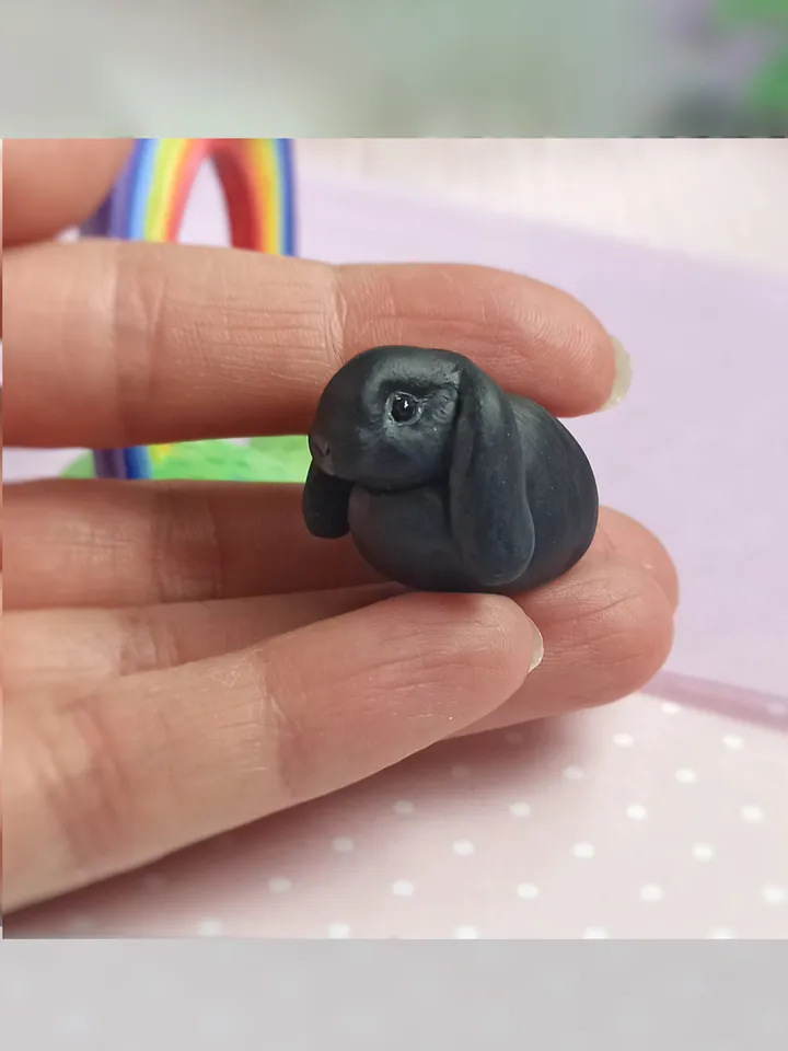 Black Rabbit on the rainbow (US discount)