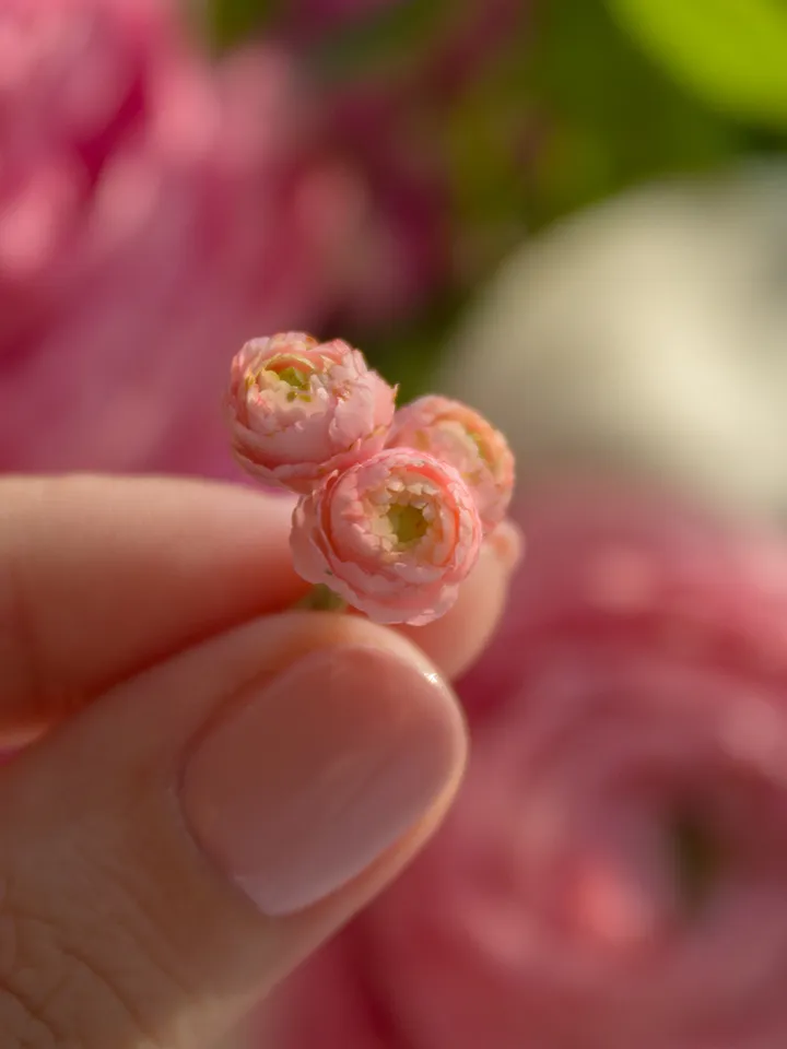 TUTORIAL Miniature ranunculus with air dry clay