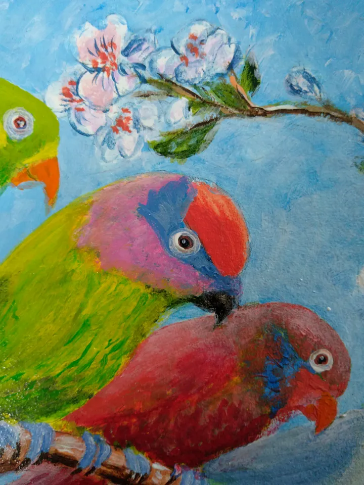 Parrots