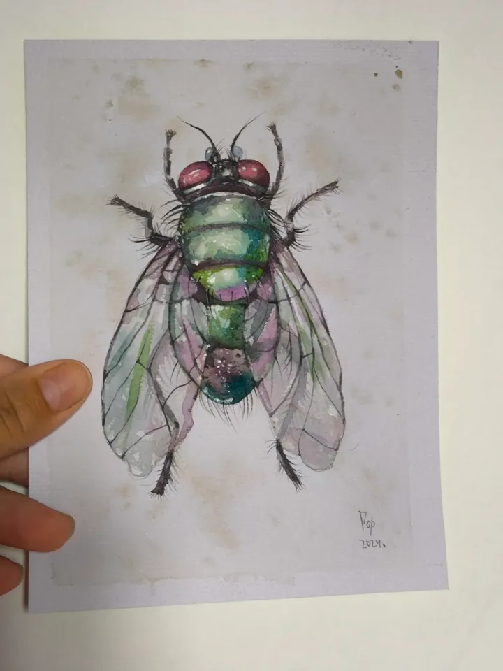Watercolor. Green Fly.
