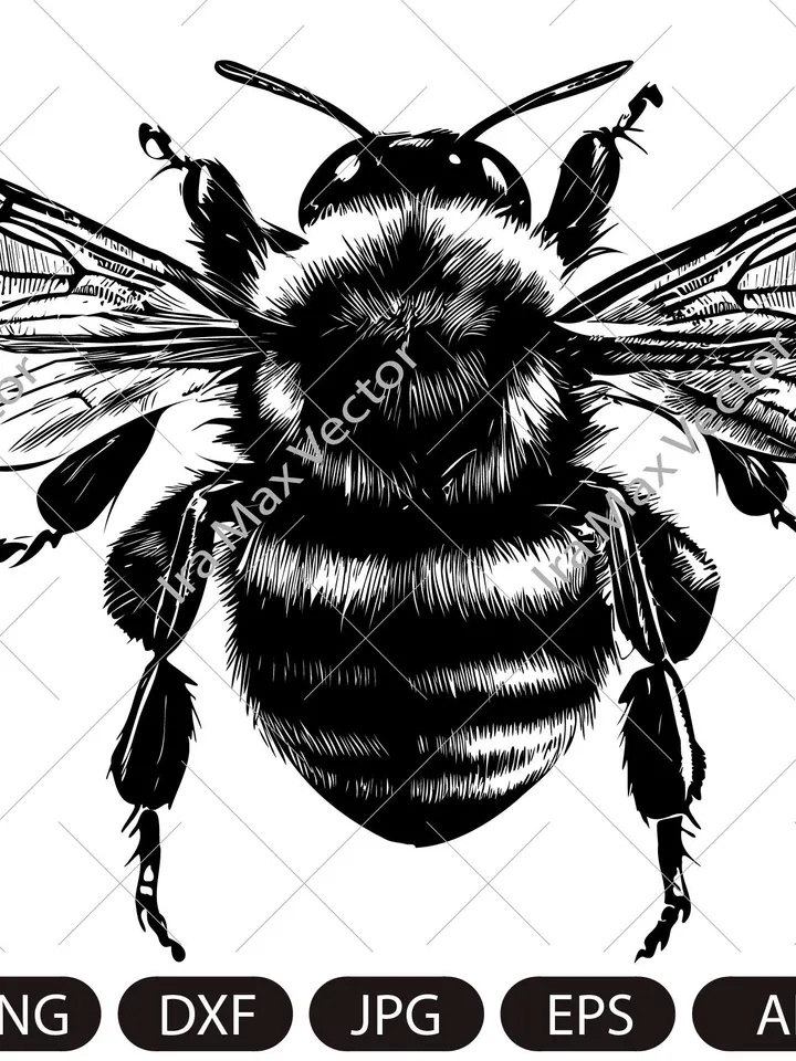 BumbleBee svg ,honey bee , bumble bee svg png jpg ,BumbleBee clip art ,BumbleBee Silhouette ,BumbleBee printable, bee sublimation