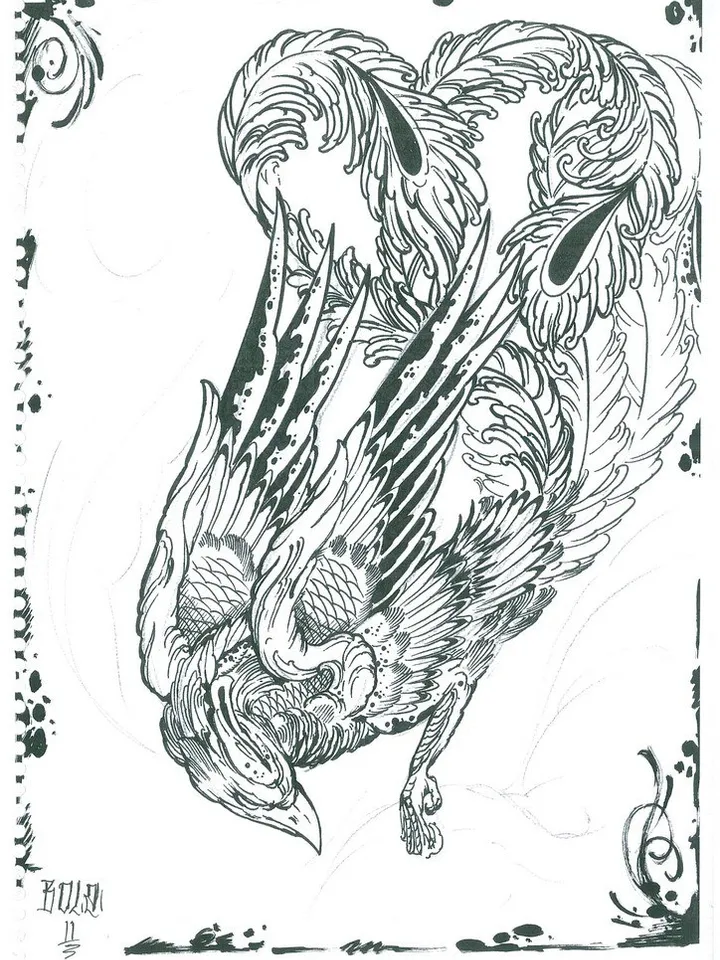 Bola sketchbook - Fenix