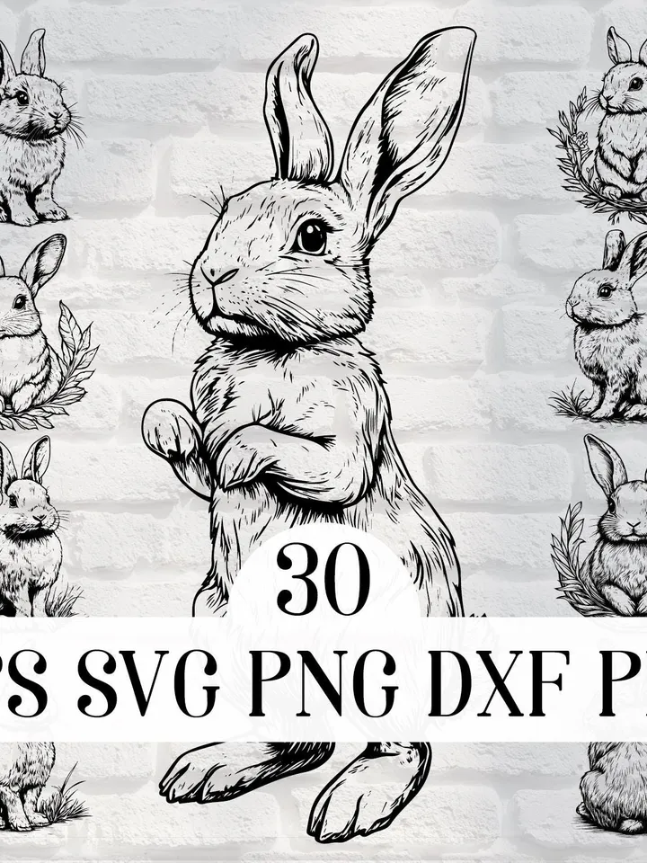 Vector Bunnies 14 Designs Bundle cute Rabbit SVG file Easter Bunny PNG for Sublimation, Cricut, Bunnies Laser Cut file for engraving, Prints
