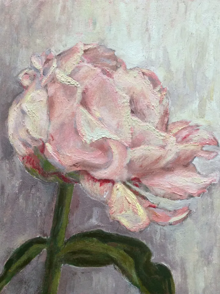 "Peony", oil painting, impasto, original wall art, flower, floral