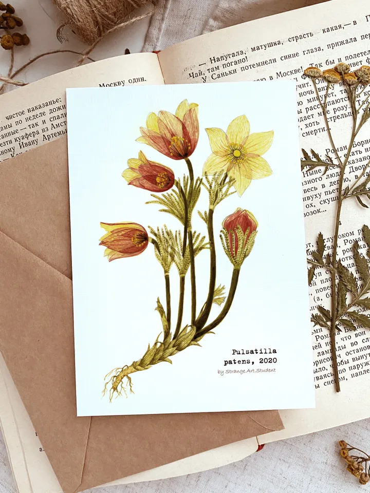 Postcards TRANSPARENT FLOWERS (white), Set of 5 cards