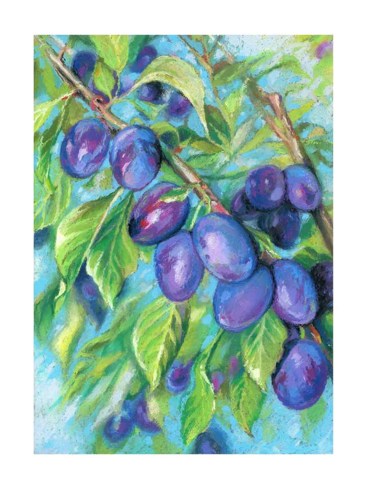 Plums Fruit on a branch Oil pastel drawing on kraft paper.