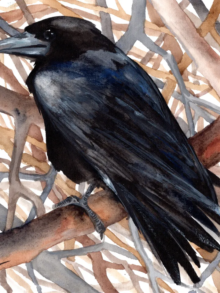 Raven Original watercolor, bird painting, wall decor, 8x11 in crow art by Anne Gorywine