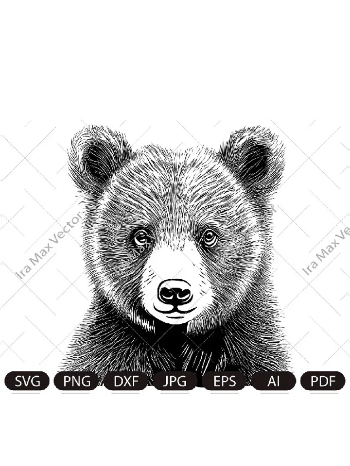 Baby bear svg, Bear cub face svg, Little bear, Nursery Decor, Safari African Animals, Bear Cub, Nursery Wall Art, Kids Printable Art