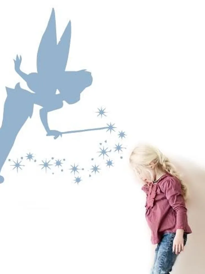 Peter pan fairy Wall decal z2753