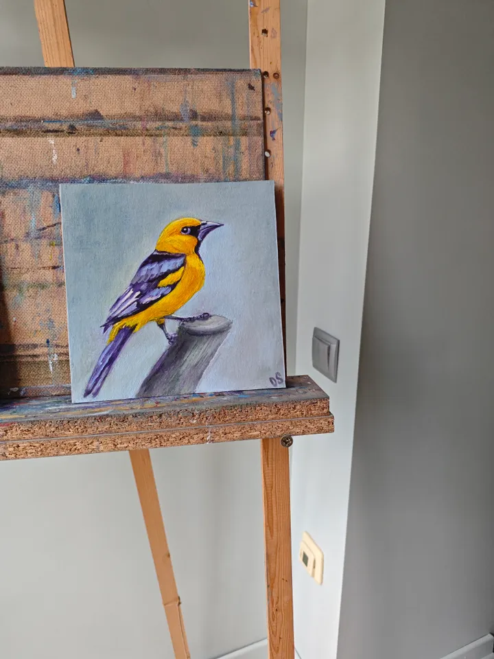 Oriole Bird Original Painting Bird Original Art Animal Modern Artwork Yellow Bird Wall Art Bright Yellow Bird Painting 8x8 inches by OlgaSokolovaArt