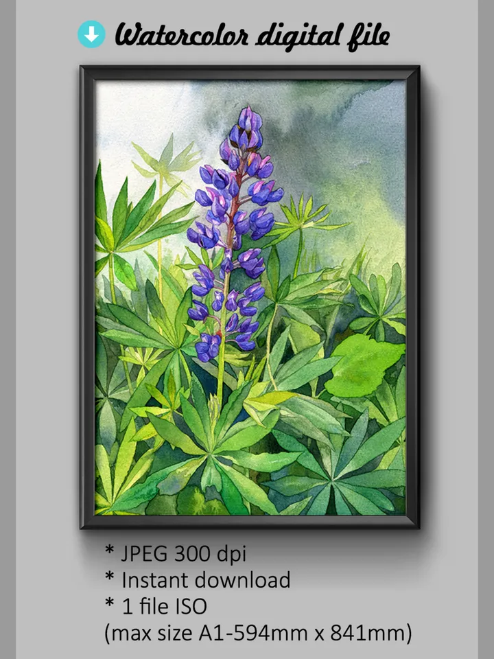 Watercolor digital print Purple Lupine Flowers, wildflowers