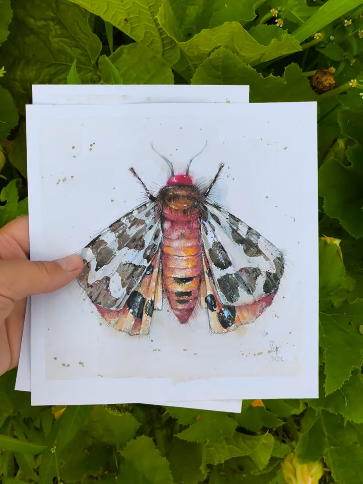 Moth watercolor
