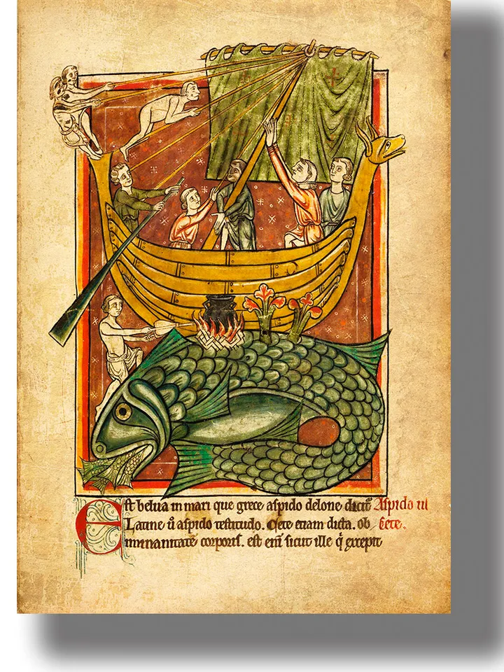 The ship approaches the whale, which is taken for the island.