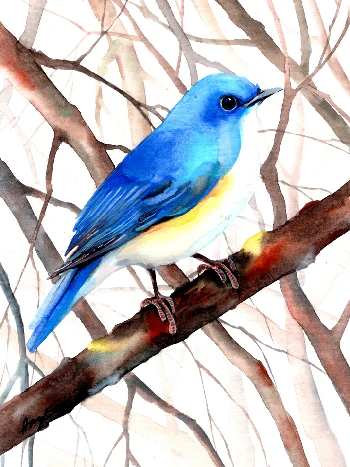 Mountain Bluebird Bird Watercolour, bird painting, wall decor, birds lover gift, 8x11 in handmade art by Anne Gorywine