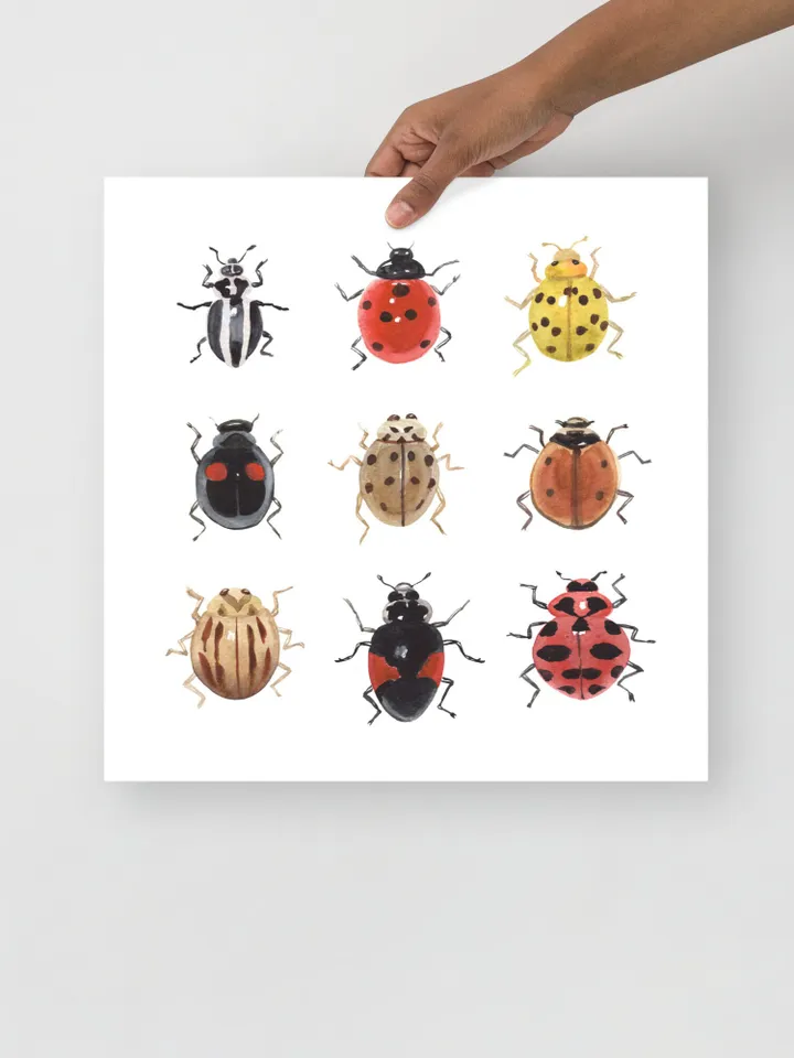 Ladybug Art Print, Watercolor Painting, Bug Insect Print, Insect Lover Gift, Ladybird Painting, Lady Bug, Realistic Art, Gift For Him