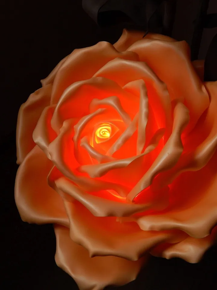 floor lamp, floor lamp roses, large flowers, flowers roses, luminous , lumino rosesus flowers, floor lamp for the bedroom. floor lamp